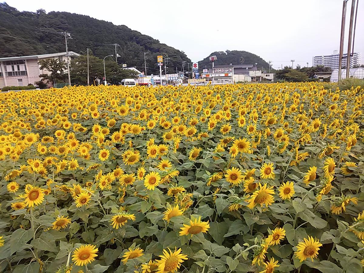 Koibito Misaki Pension Marine Mates Идзу Экстерьер фото