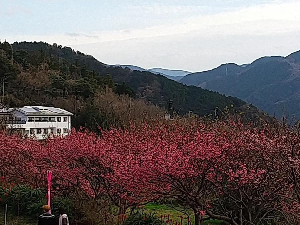 Koibito Misaki Pension Marine Mates Идзу Экстерьер фото